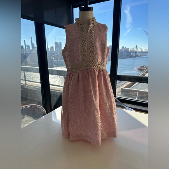 Lilly Pulitzer | Dresses | Lilly Pulitzer Girls Pink And Gold Brocade Dress  Nwt Size 2 | Poshmark